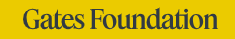 Bill & Melinda Gates Foundation – innovation for global well-being